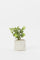 Redtag-Artificial-Cluster-Leaf-In-Ceramic-Embossed-Pot-Category:Plants-&-Flowers,-Colour:Green,-Deals:New-In,-Filter:Home-Decor,-H1:HMW,-H2:HOM,-H3:DEA,-H4:DCA,-HMW-HOM-Decorative-Accessories,-New-In-HMW-HOM,-Non-Sale,-Promo:JULIETTE,-S23B,-Season:S23B,-Section:Homewares,-Style:ACCENT-FLOWER-Home-Decor-