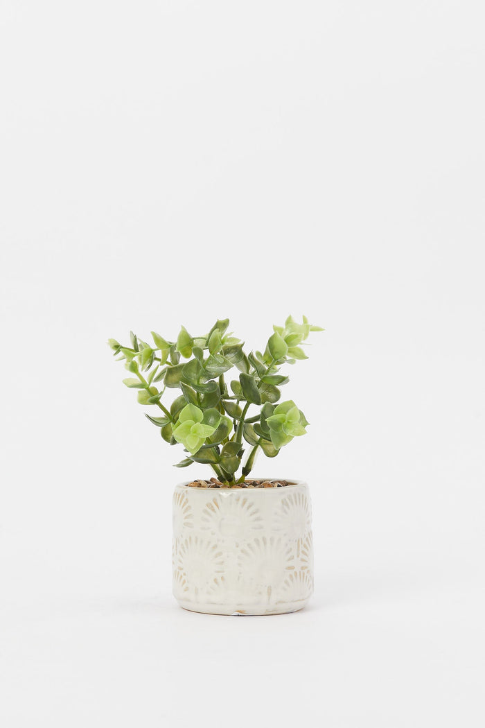 Redtag-Artificial-Cluster-Leaf-In-Ceramic-Embossed-Pot-Category:Plants-&-Flowers,-Colour:Green,-Deals:New-In,-Filter:Home-Decor,-H1:HMW,-H2:HOM,-H3:DEA,-H4:DCA,-HMW-HOM-Decorative-Accessories,-New-In-HMW-HOM,-Non-Sale,-Promo:JULIETTE,-S23B,-Season:S23B,-Section:Homewares,-Style:ACCENT-FLOWER-Home-Decor-