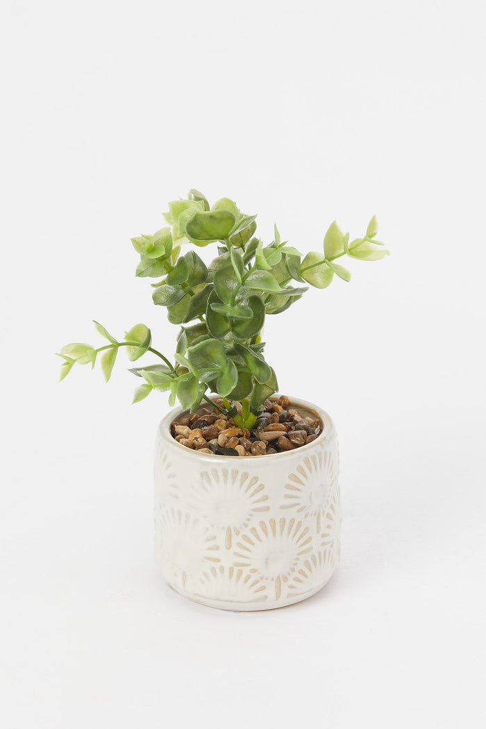 Redtag-Artificial-Cluster-Leaf-In-Ceramic-Embossed-Pot-Category:Plants-&-Flowers,-Colour:Green,-Deals:New-In,-Filter:Home-Decor,-H1:HMW,-H2:HOM,-H3:DEA,-H4:DCA,-HMW-HOM-Decorative-Accessories,-New-In-HMW-HOM,-Non-Sale,-Promo:JULIETTE,-S23B,-Season:S23B,-Section:Homewares,-Style:ACCENT-FLOWER-Home-Decor-